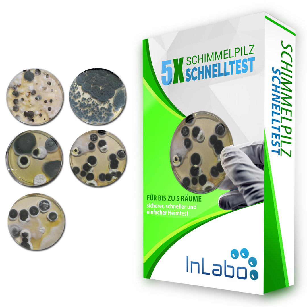 Schimmel-Tests, Labor und Do it Yourself ab 29,00 €