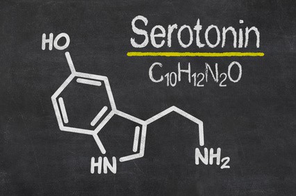 serotonin58f7fc7eeca5a